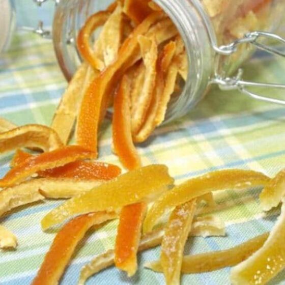 Candied Lemon and Orange Peel