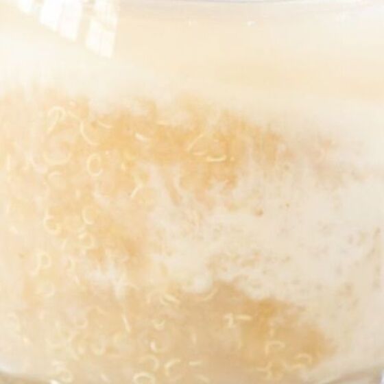 Boisson au quinoa bolivien